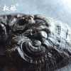 权禄长白山紫灵芝整枝500g