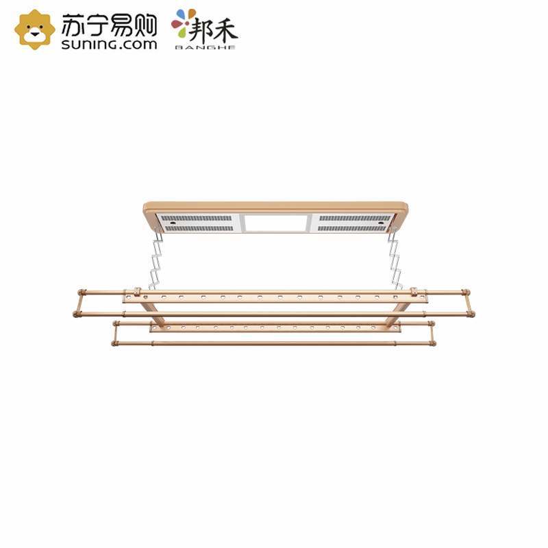 电动晾衣架 阳台升降晒衣架自动智能遥控晾衣杆伸缩晾衣架晾衣机 901C2.4米四杆+LED灯(玫瑰金)