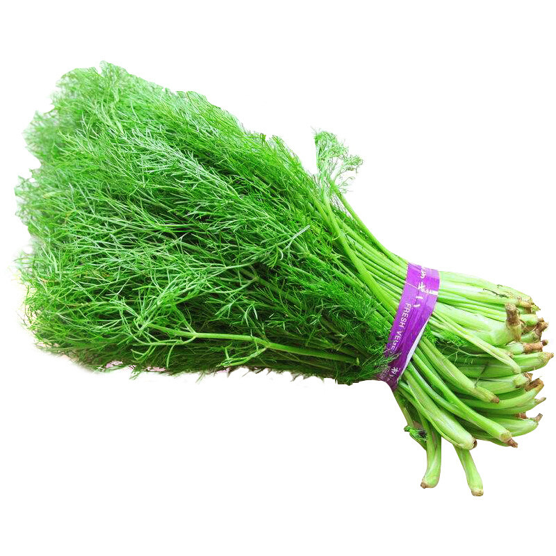 博多客新鲜茴香菜小茴香苗2kg农家蔬菜茴香丸子8