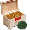 茶叶 铁观音秋茶新茶 铁观音茶叶浓香型乌龙茶茶叶礼盒装500g