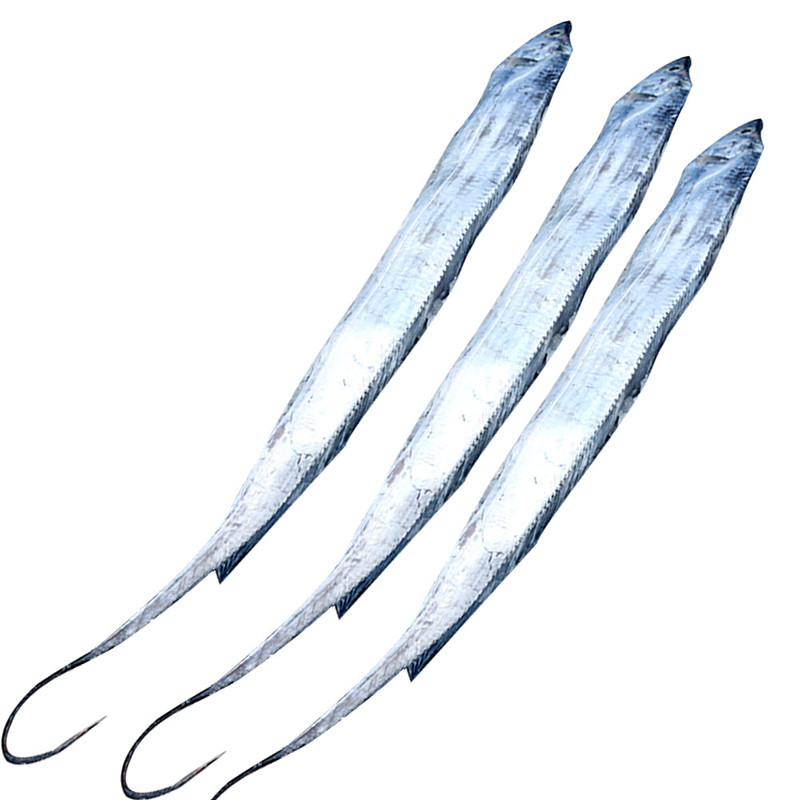 WECOOK冰鲜银丝带带鱼 3号 200-300g/条*3条 海钓捕获 银光闪闪 清蒸级品质（限北上广深区域发）