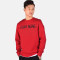 李宁(LI-NING)套头卫衣男款时尚潮流印花套头衫棉质上衣卫衣AWDP297 AWDP297-3公牛红 M/170