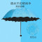 遇水开花变色伞三折叠黑胶防嗮太阳遮阳晴雨.伞 湖蓝色