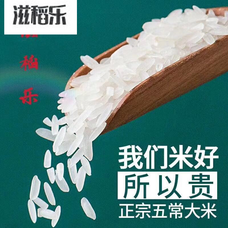 滋稻乐 五常稻花香大米 5千克