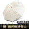 灵孜格 太阳伞小黑伞女防晒防紫外线黑胶女神折叠晴雨伞两用遮阳伞 烫金鹿白色