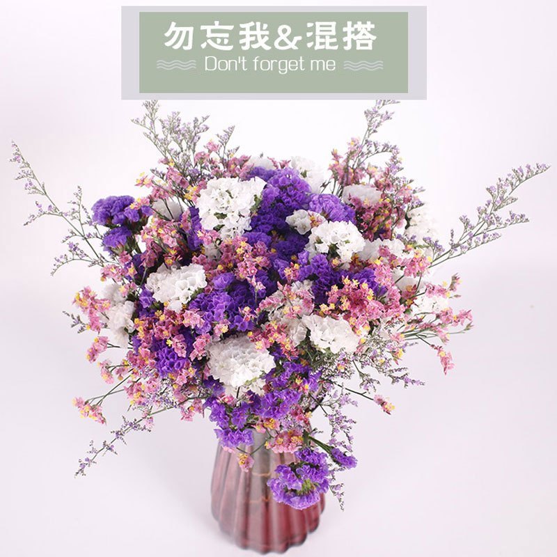 云南大束满天星干花真花礼品装送女朋友老婆礼物勿忘我 20枝+花瓶