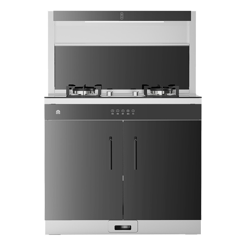 Ronshen/容声集成灶JJZT-H-RQ109 集成灶一体式家用 抽油烟机 双灶眼 一级能效大火力 天燃气款