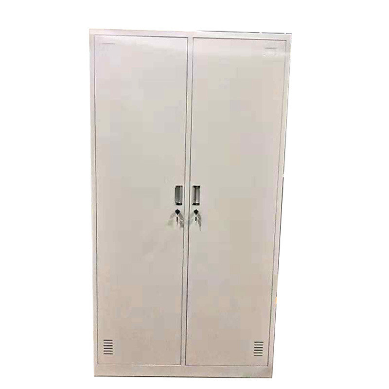 飞宇 铁皮柜 储物柜 员工柜 二门更衣柜 1000x500x1850 TPG-1 -TY 银色
