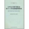 小型企业财务报表审计工作底稿编制指南