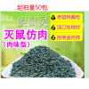 月桐 老鼠药灭鼠剂杀鼠剂50克/包 可搭配毒鼠盒使用（50包装）
