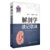 解剖学速记歌诀
