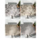 入户地垫进防滑垫家用口地毯入脚垫玄关耐磨防滑客厅垫_8 60x90cm 时光回廊-棕