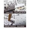 现代客厅地毯玄关脚垫床边毯子现代茶几垫家用卧室进地垫_1_961 200x200cm 秘密花园