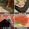 进丝圈地垫入户垫卫浴防滑地毯家用入厅阳台脚垫口垫子_1_668 45*120cm 红花