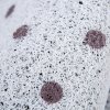 地垫垫进可裁剪入户防滑卫生间吸水客厅口家用厨房脚垫地毯_2 120*200cm【可裁剪无压边】 红花绿叶