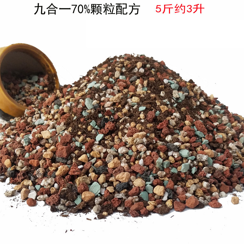 创意园艺用品花卉植物多肉颗粒土纯颗粒多肉植物用营养土肉肉叶插换盆盆栽花土 九合一5斤70%颗粒+底孔垫10个