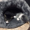 猫窝封闭式小型犬狗窝冬季冬天加厚保暖四季通用猫咪窝垫宠物用品