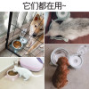 狗盆狗碗猫碗双碗自动饮水食盆狗狗碗猫咪水碗防打翻饭盆宠物用品_5 自动续水双碗（通用） 御纳户蓝+餐垫（超值！）