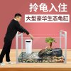 乌龟缸大型鱼宠物龟养乌龟专用水龟饲养箱特大号超大家用养龟大号 默认尺寸 61cm超大号豪华款：套餐一
