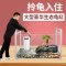 乌龟缸大型鱼宠物龟养乌龟专用水龟饲养箱特大号超大家用养龟大号 默认尺寸 34cm中号简约款：套餐二