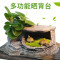 乌龟缸带晒台玻璃别墅养龟的专用缸鳄龟中型特大型鱼缸家用水陆缸_2 默认尺寸 36cm小号裸缸（送36件大礼包）