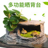 乌龟缸带晒台玻璃别墅养龟的专用缸鳄龟中型特大型鱼缸家用水陆缸_2 默认尺寸 52cm大号：微景观套餐三