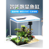 免换水生态鱼缸小型水族箱自循环客厅金鱼智能懒人家用创意带氧气 默认尺寸 YGD-400【标配】送礼包