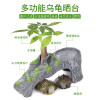 养龟的专用缸养乌龟缸龟生态玻璃水陆金鱼缸小型免换水别墅箱家用_1 默认尺寸 中号简约款：套餐二