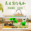 养龟的专用缸养乌龟缸龟生态玻璃水陆金鱼缸小型免换水别墅箱家用_1 默认尺寸 中号裸缸（送礼包）