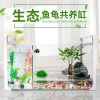 乌龟金鱼鱼缸龟鱼和鱼龟混养缸两用一体生态客厅深水龟小型二合一 默认尺寸 61cm超大号单养缸裸缸（送礼包）