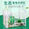 乌龟金鱼鱼缸龟鱼和鱼龟混养缸两用一体生态客厅深水龟小型二合一 默认尺寸 特大号混养缸：标配