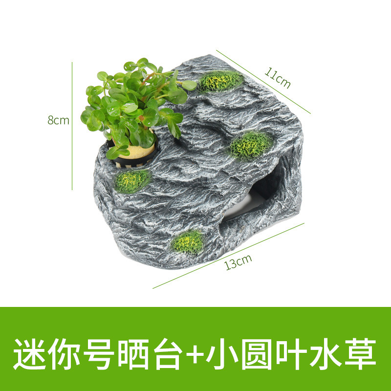 晒台巴西龟缸乌龟晒背台爬梯爬虫造景躲避洞爬坡台爬台石头用品_1 默认尺寸 迷你号方形晒台+小圆叶水草