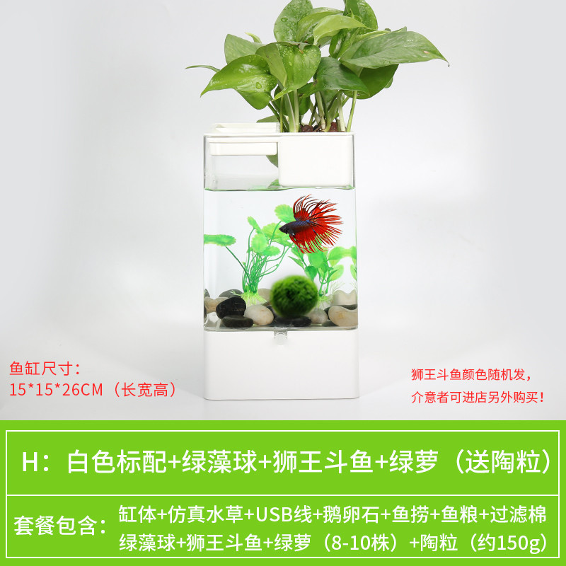 水培植物养鱼缸一体家用塑料创意懒人小型免换水桌面斗鱼专用客厅_1 默认尺寸 白色标配+绿萝+绿藻球+狮王斗鱼