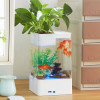 水培植物养鱼缸一体家用塑料创意懒人小型免换水桌面斗鱼专用客厅_1 默认尺寸 白色标配+绿藻球+狮王斗鱼