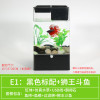 水培植物养鱼缸一体家用塑料创意懒人小型免换水桌面斗鱼专用客厅_1 默认尺寸 黑色标配+狮王斗鱼