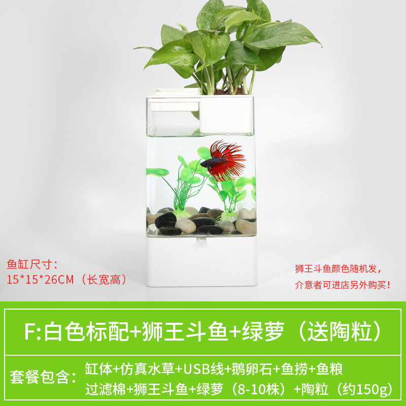 水培植物养鱼缸一体家用塑料创意懒人小型免换水桌面斗鱼专用客厅_1 默认尺寸 白色标配+绿萝+狮王斗鱼