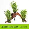 懒人水有茎类鱼缸装饰水榕沉木净化水质的水辣椒榕水族箱_2_159 默认尺寸 【三头】小对叶三头沉木