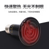 玄凤鹦鹉保暖灯鸟用加热器保温箱取暖加温恒温陶瓷暖灯窝冬天用品 默认尺寸 50w陶瓷灯+长灯架（普通开关）