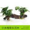 沉木水缸鱼缸装饰造景套餐小水榕类懒人新手真水椒植物_1 默认尺寸 小水榕双头沉木