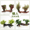 沉木水缸鱼缸装饰造景套餐小水榕类懒人新手真水椒植物_1 默认尺寸 【三头】大水榕三头沉木