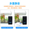 车载冲养鱼缸充电氧气泵无电增氧泵供氧器两用打养机鱼用小型户外 默认尺寸 QBD-10加强版2L（配气泡石）