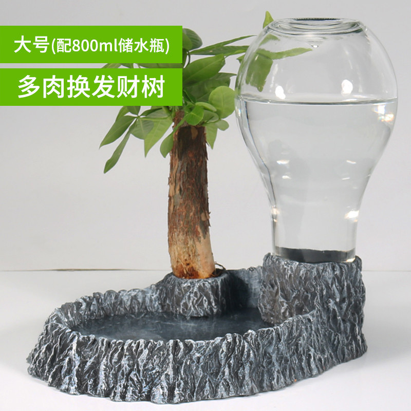 陆龟水盆泡澡喝水乌龟喂食盆爬虫缘爬宠喂水蜥蜴用品_1 默认尺寸 大号饮水器（多肉换发财树）