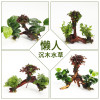 鱼缸装饰造景套餐真水沉木后景缸植物淡水小水榕养鱼懒人_1 默认尺寸 三头小对叶加红玫瑰