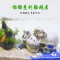 鱼缸造景装饰虾窝躲避屋繁殖罐鱼室海绵宝宝菠萝屋水族箱树脂摆件_1 默认尺寸 章鱼堡