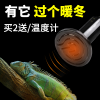 龟箱保温灯乌龟发热灯泡蜥蜴角蛙爬虫加热灯泡陆龟陶瓷灯爬宠温控 默认尺寸 150W陶瓷加热灯