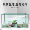 玻璃乌龟缸家用水陆缸带晒台别墅小大型鱼缸龟鱼混养缸乌龟专用缸_2 默认尺寸 大号龟缸（42*25*20）套餐三