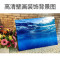 鱼缸壁纸背景纸画高清图3d鱼缸装饰品背景画双面造景珊瑚石背景板_2 默认尺寸 60高82长