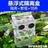 孔雀鱼繁殖盒幼鱼鱼缸隔离斗鱼鱼苗产卵器热带鱼亚克力_1 默认尺寸 小号孵化盒