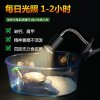 乌龟晒背灯全光谱爬宠陆龟蜥蜴太阳灯加热灯泡爬虫保温灯_1 默认尺寸 原装35W卤素灯泡2个
