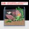 进口吸氨去味稳定PH净化水质鱼缸水族箱过滤材料底沙_2 默认尺寸 进口沸石2L（净水稳PH除臭）可当造景底沙